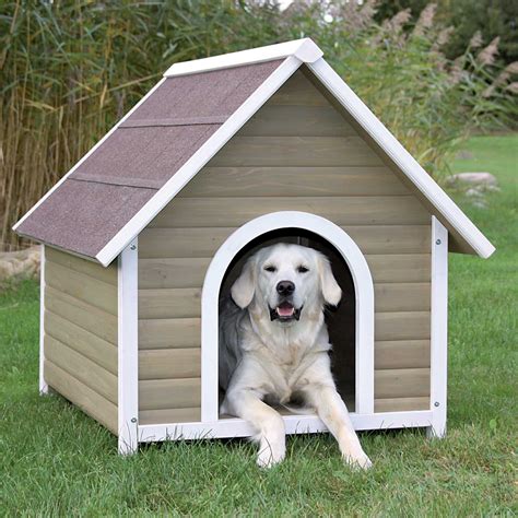 dog house free bonus buy